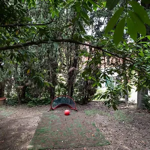 Vatican Quiet With Garden & Parking Roma